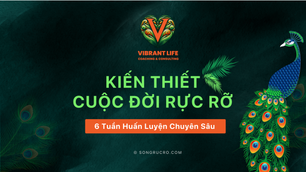 KIẾN THIẾT CUỘC ĐỜI RỰC RỠ